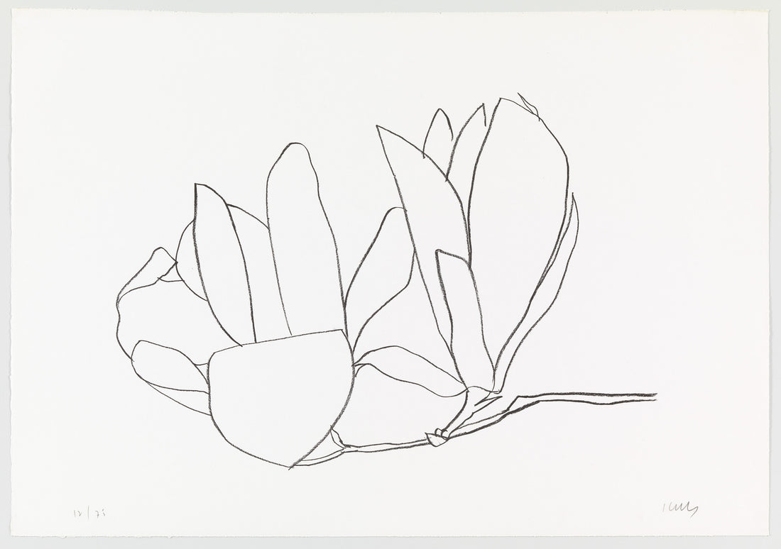 GUIDE TO A MOMENT FOR TAKING | 00:15:00