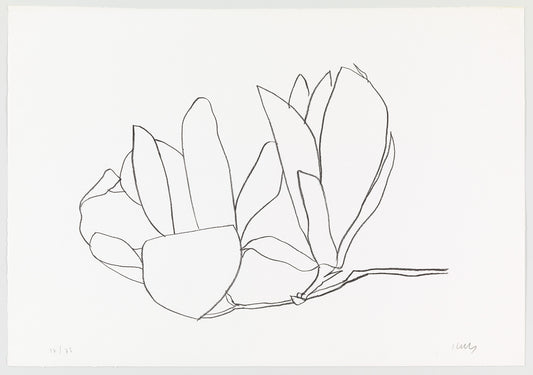 GUIDE TO A MOMENT FOR TAKING | 00:15:00