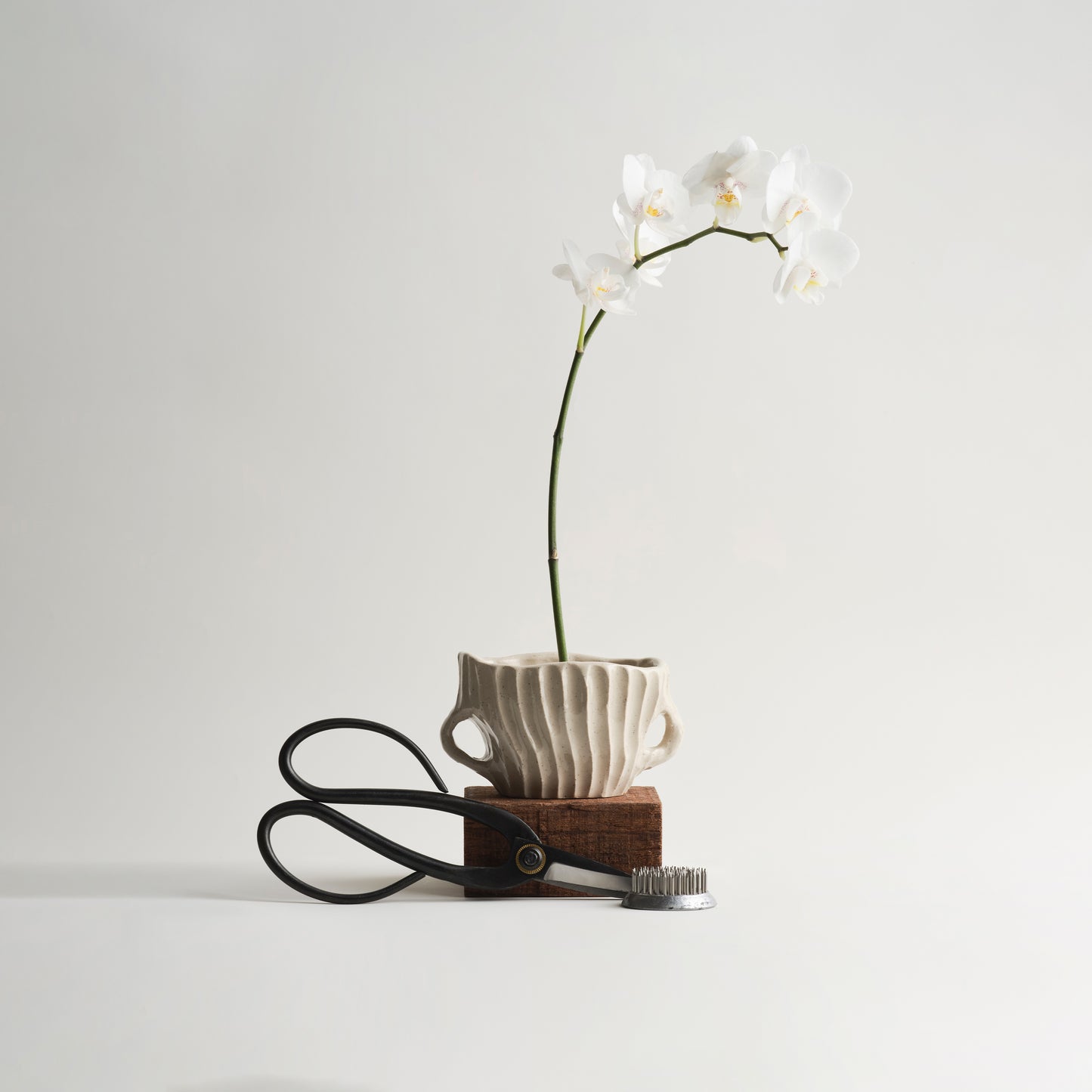 IKEBANA KIT